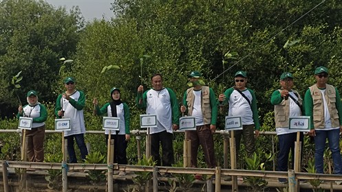 World Mangrove Day STMA Trisakti (3)